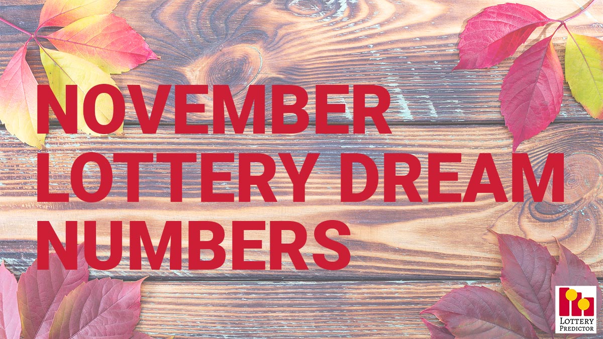 November Lottery Dream Numbers