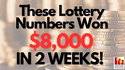 These Lottery Numbers Made $8,000 In 2 Weeks!