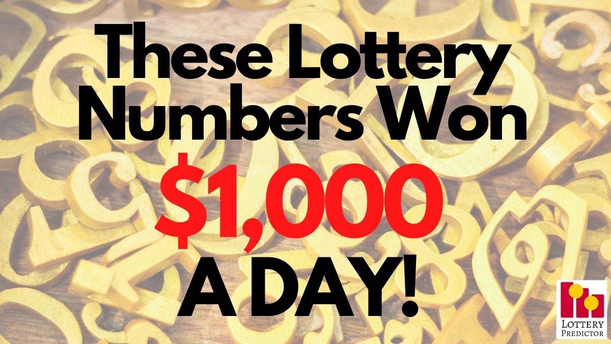 These Lottery Numbers Are Making $1000 A Day!