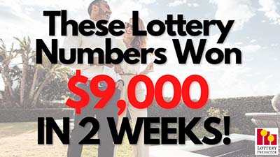 These Lottery Numbers Made $9,000 In 2 Weeks!