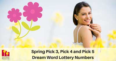 Spring Dream Word Lottery Numbers